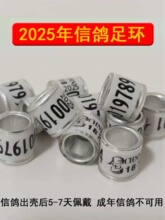 �����_�h������h2026�����ӭh�yһ�hӛ̖�h�þ���������������h