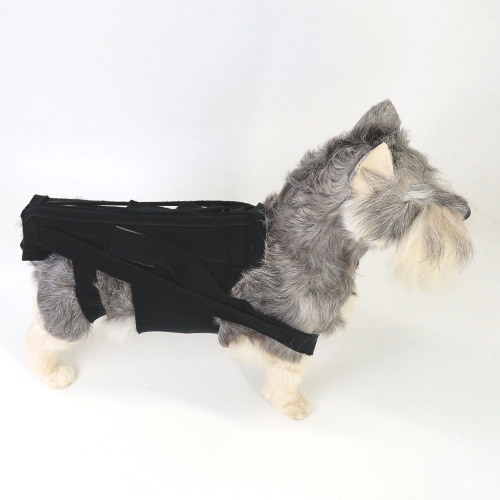 New Dog Back Support for IVDD Relief, Back Injury Relief, Back Support Dog Vest, Factory Direct Sale