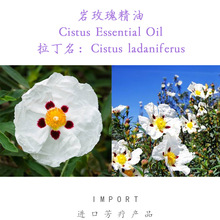 Ħ õ徫 ƼĦ Cistus 5ml