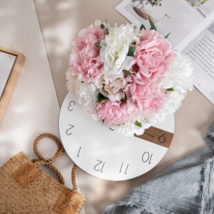 ����ĵ�����滨�S�Ҽٻ��Gֲ�����l��c�b�ˇƷINS�L��������