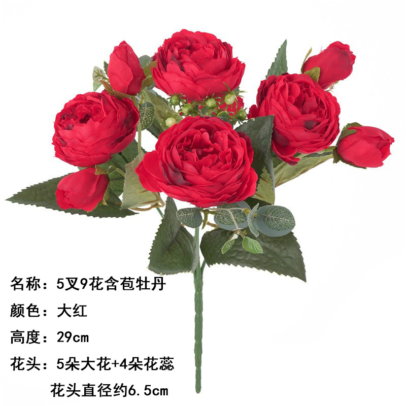 5 포크 포퇴 모란 레드