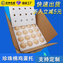 EPE�������u���Ѓ��r���u�����b�Ѓ��п��f�����ˤ��ĭ�u����