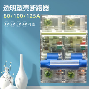 2P�{�ֱ�͸����·�� DZ47-125/100/80 2P 100A͸���՚��_�P΢��