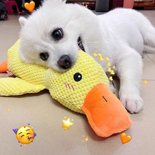 ����ë�q��߱�������ҧĥ�����X���ǹ�������Ӗ�����ӿɐ�