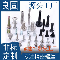 元のメーカーのネジの金属の留め具の家具の非標準のねじは黒ずんでいます。