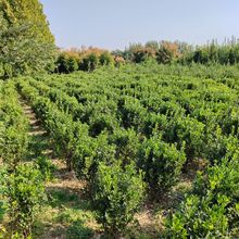 ������������lС�^�е��G�����ݶ����������~�S������ͺ�ֲ��