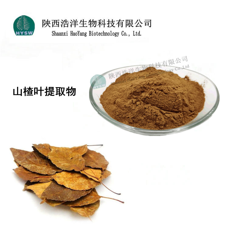 산사나무 잎 플라보노이드 80%