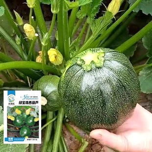 ����o����G���������J�N�ӽ�С�ϹψA�����J�ѿ��Ό���ļ��׷N