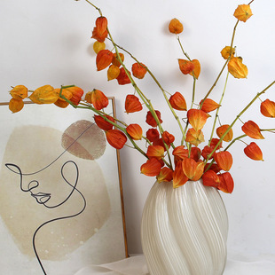 �ɻ���{���滨��֦���\���߼��г�ɫ�ﶬ�Ҿ��b廨�����͏d