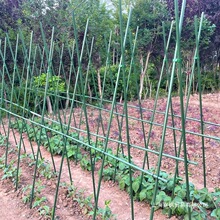 ���Ǽ��S�ϼ��ļ�������֧�μܲˈ@�˼��ӷN�˷Nֲ�߲˼ܗU��֧��