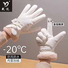 メーカー卸売り秋冬女性保温手袋戸スキー運動保温ベルベットかわいいダウンジャケットタッチパネル手袋