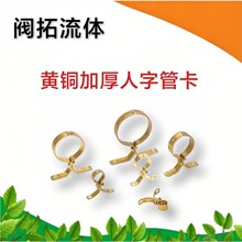 黄铜加厚卡箍水管管夹全铜喉箍水管道固定人字管卡双固定12-54mm