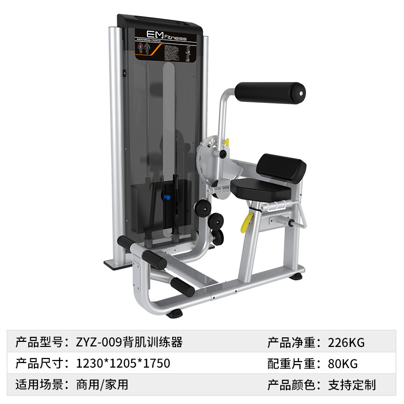 Equipo completo de gimnasio para press de pecho sentado, dominadas de espalda alta y baja, leg fly, remo, equipo comercial de entrenamiento de fuerza