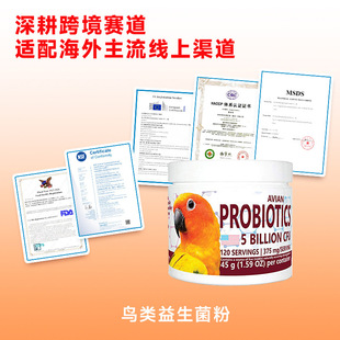 �W�^ȸ�B���B����������B�I�B�a�䄩�B����Ʒ�羳����