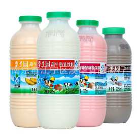 李子园甜牛奶乳饮料450ml*12瓶原味草莓巧克力味牛奶饮品批发