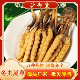 其他药食同源;黄芪;其他滋补