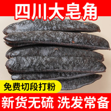 四川大皂角新货皂荚段碎块外用洗发可剪段打粉干皂角长皂角粉免煮
