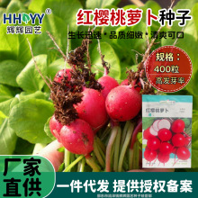 �t�����}���N��С�t���t�}���N��ԭ�b�ļ��߲��}���N�Ӵ�ȫ�˷N��