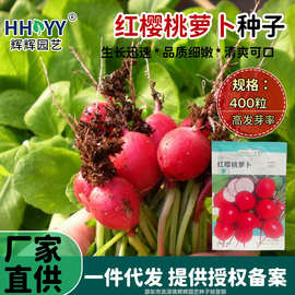 红樱桃萝卜种子小红丁红萝卜种子原装四季蔬菜萝卜种子大全菜种子