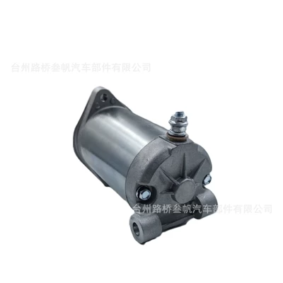 Yamaha Vx500 600 – Starter and accessories