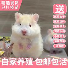 ��ë������˿�ܰ����ܶ�ë�����ܰ��ܳ�������󱦳�ë��С����