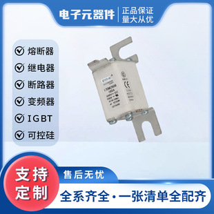 170m2666 Fast Fuse 170m2667 Digital Components, Complete Models, Large Quantity and Excellent Price