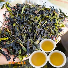 高山茶土山茶潮汕潮汕惠来浓香型八仙茶大南山茶叶功夫茶乌龙茶