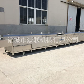 连续式煎荷包蛋设备 商用大型煎蛋机 按需定制 源头厂家