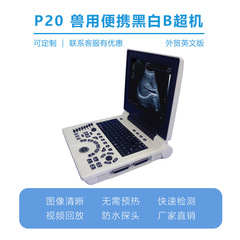 宠物医院兽医用高端超声B超机 外贸英文版牧场超声诊断仪专业精准