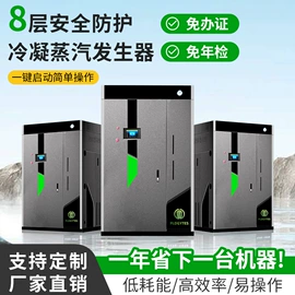 蒸汽发生器;电热锅炉;燃生物质锅炉