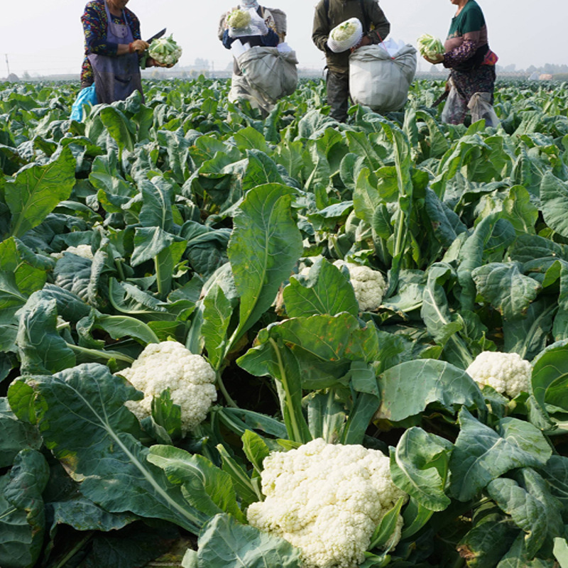 de0459b2d9e241609186f86f3722ff