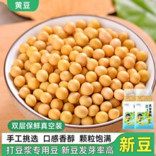 【打豆浆专用】东北黄豆 新豆大豆 农家高蛋白黄豆500g