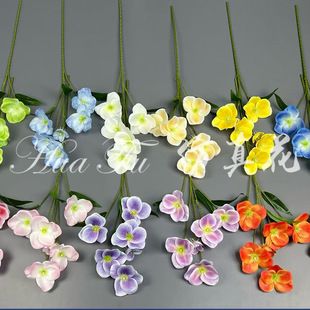 �Շ����ļ����������ÿ����l��c�Ƶ껨ˇ�쾰DIY�ٻ��b��滨