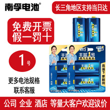 丰蓝一号电池南孚电池燃气灶电池大号热水器电池煤气灶一号干电池