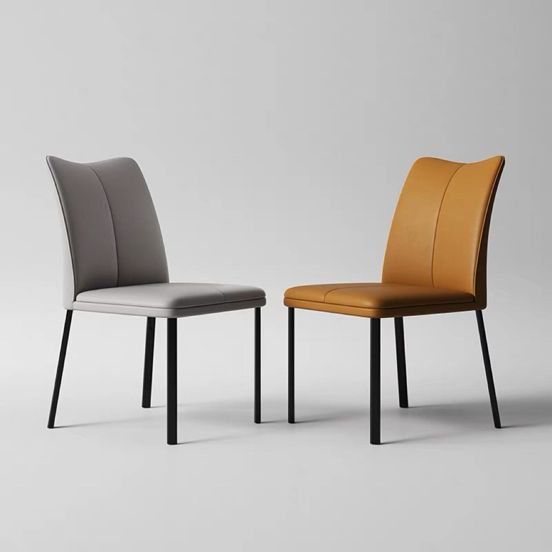 Modern Minimalist Home Restaurant Dining Chair Hotel Model Room Designer Leisure Back Chair Office Iron Dining Table and Chairs