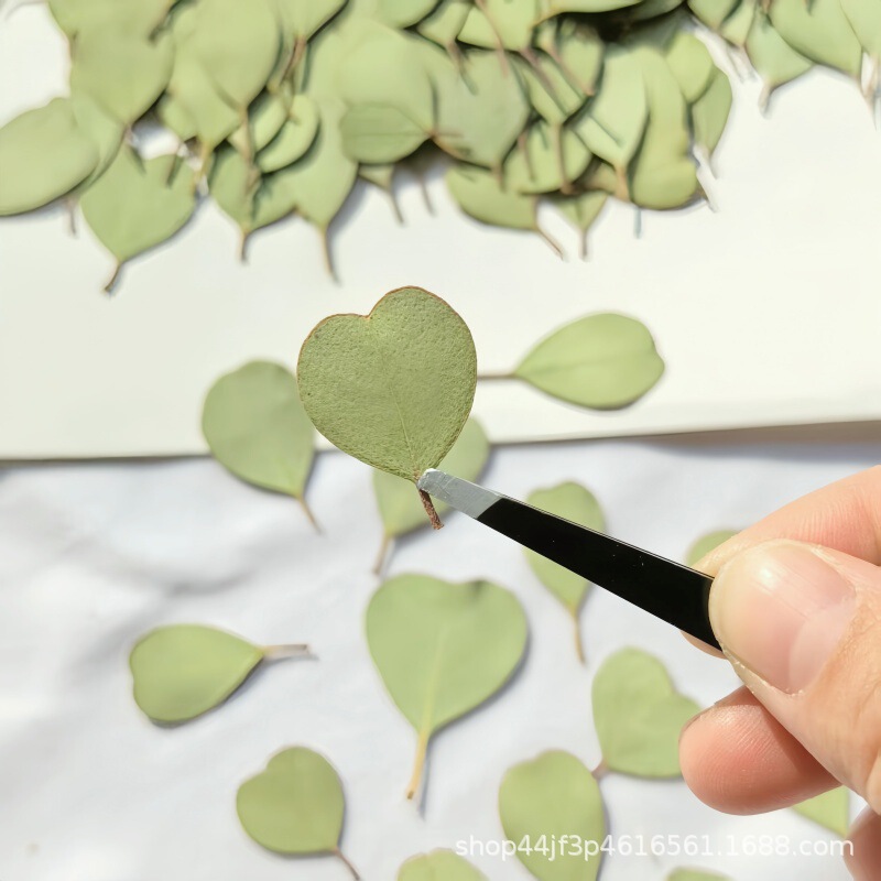 Heart-shaped Apple Leaf Dried Flower Embossed Baffle Nail Art Nail Makeup Material Natural Real Flower Plant Specimen Gel Dropping Handmade