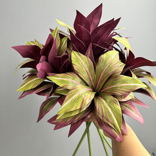 �ٺ������Gֲ����ľ��Ѫ���콶�����F�҃��쾰���P��ˇ�bG�~