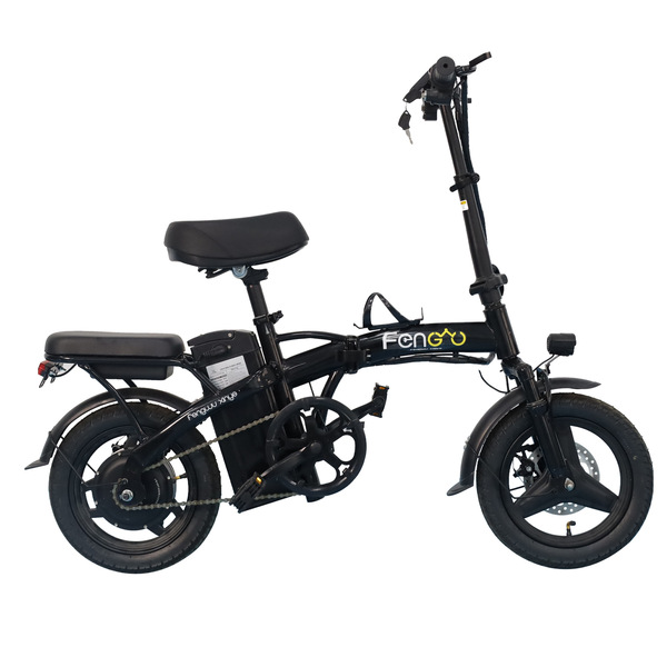 Electric folding bike