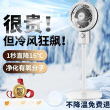 ��������{�ȼ����o��������L�ȓu�^����ȴ��L��