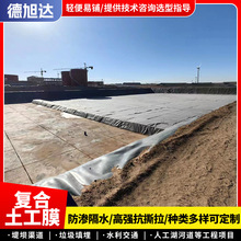 厂家批发复合土工膜垃圾沼气池蓄水池护坡防水两布一膜hdpe土工膜