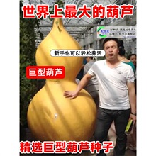 ���ͺ��J�N�����ش󳬴���Ȼ�ˌ����J�N�ѿ�ʳ�Á������ļ����N��