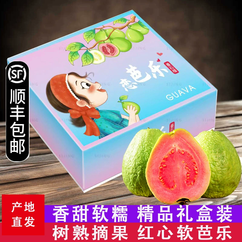 Гуава из Фуцзянь Чжанчжоу: Сезонные свежие фрукты, белая и красная гуава, отборные, в подарочной упаковке, оптом