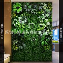 �����_��ѩ01������ֲ�1ƽ���|�����w����Gֲ���bGɫ�쾰