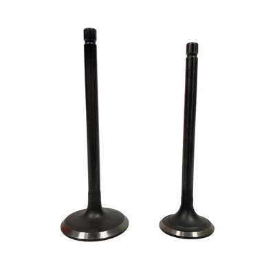Oil Seal, Valves and components