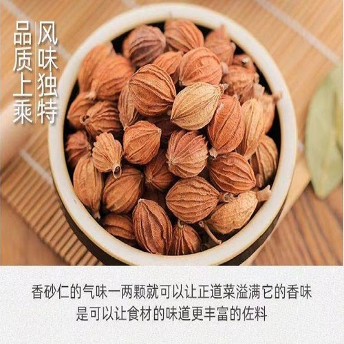 Wholesale sourced from Sichuan: Premium, fully dried Amomum villosum—ideal for enhancing the aroma and flavor of meat stews and other dishes as a versatile spice seasoning.