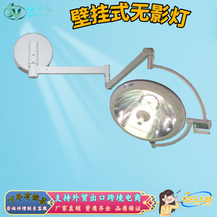Led Shadowless Lamp for Oral Implantation, Pet Medical Beauty and Plastic Surgery, Double-Head Single-Head Lamp, Hanging Wall-Mounted Removable Shadowless Lamp