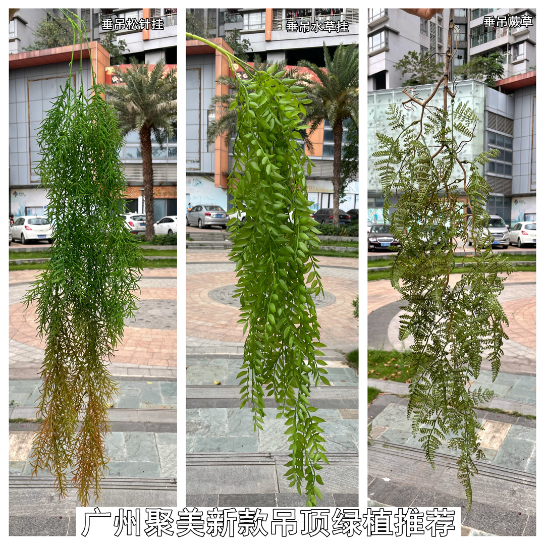 微信图片_20210503141608.jpg
