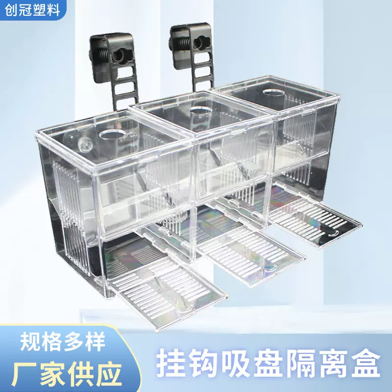 挂钩式孔雀鱼繁殖盒鱼缸孵化器隔离盒热带鱼产卵孵化产房鱼苗幼鱼