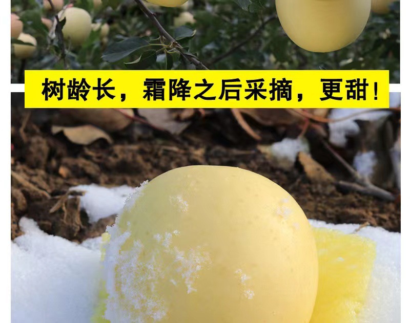 5c8de63b63a8525ecdab5aa8ede89a