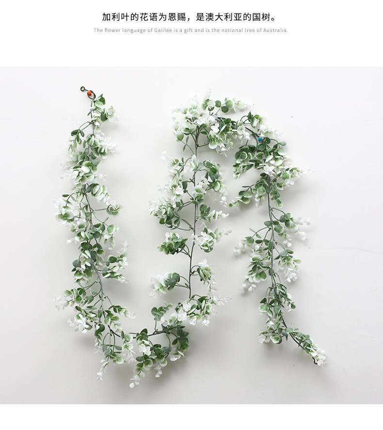 藤条详情-兰韵_11